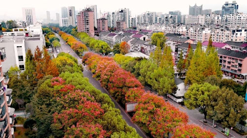 白云.jpg 白云.jpg